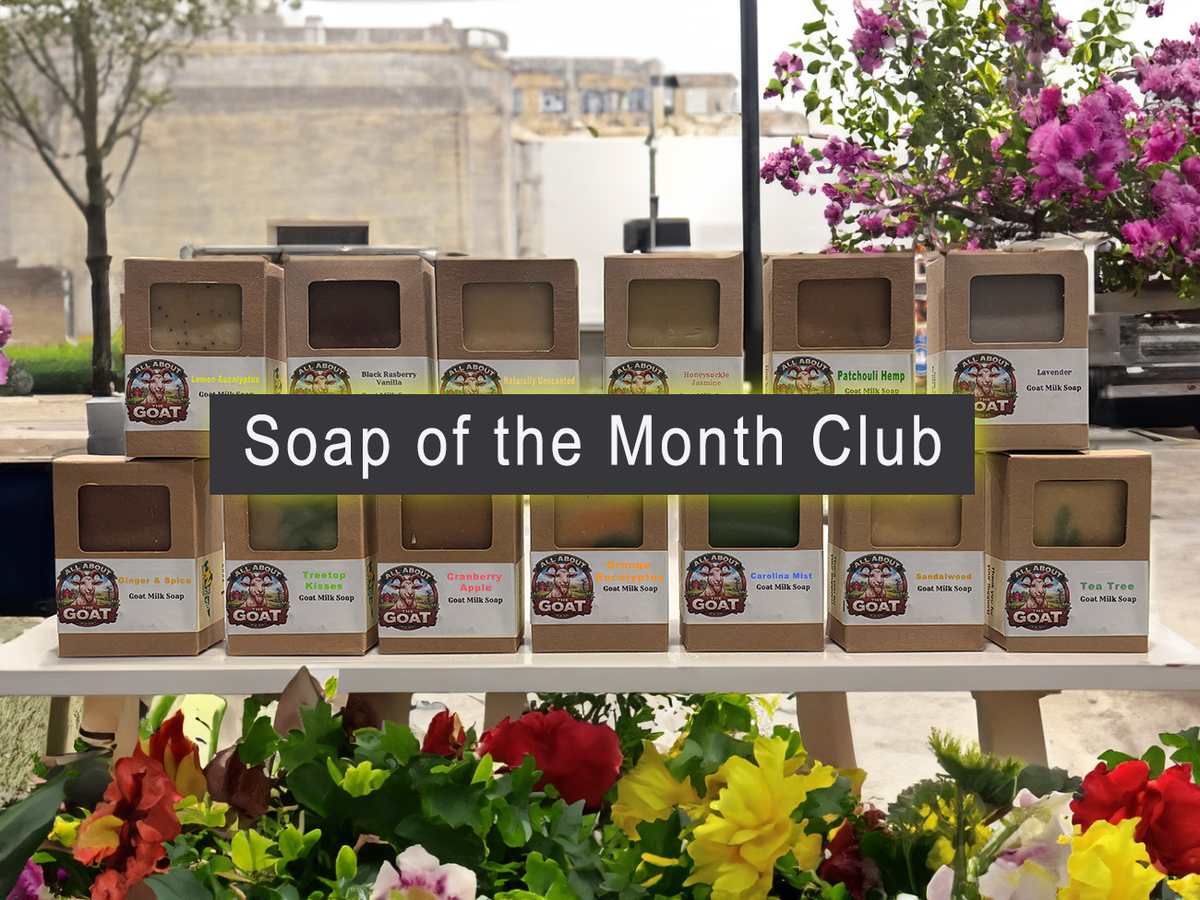 Soap of the Month Club