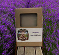 Lavender Goat Milk Soap