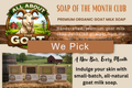 Soap of the Month Club — WE PICK